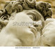 Kunst & Cultuur_
